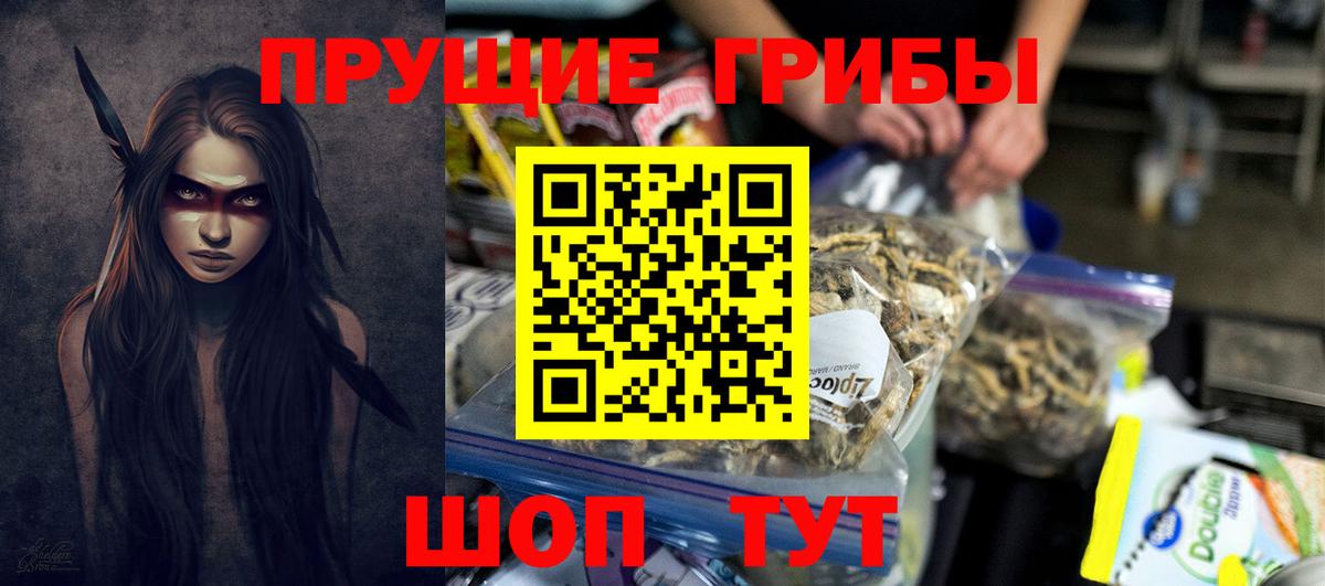 Нерюнгри  Галлюциногенные грибы прущие грибы  Вход с VPN 